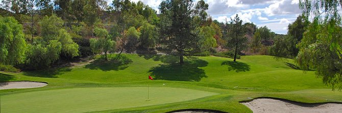 Tracy Shorter banner