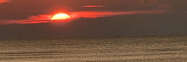 jameschiapet Profile Banner