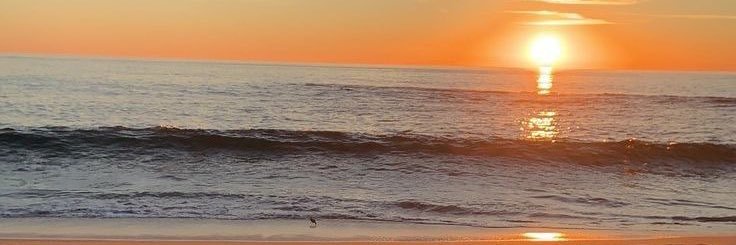 doreendarren's profile banner image