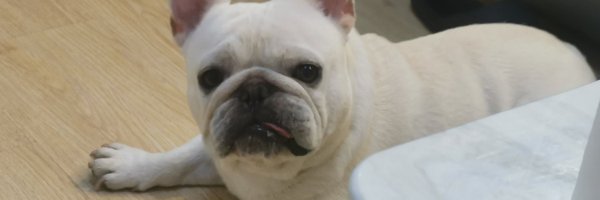 jueya0325 Profile Banner