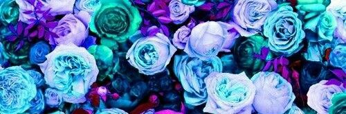 lorerosane's profile banner image