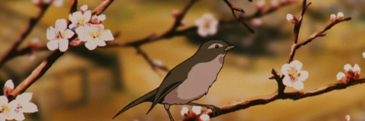 spiggyp's profile banner image