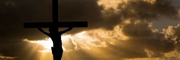 MatFolwer Profile Banner