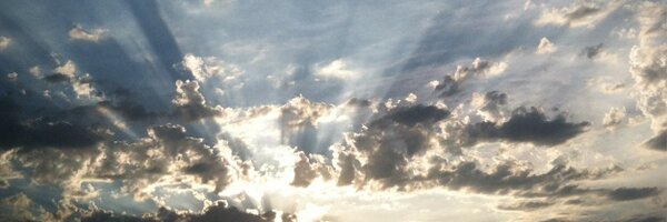 CoachChewy Profile Banner