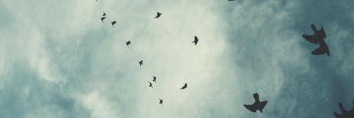 JuuLiiJB's profile banner image