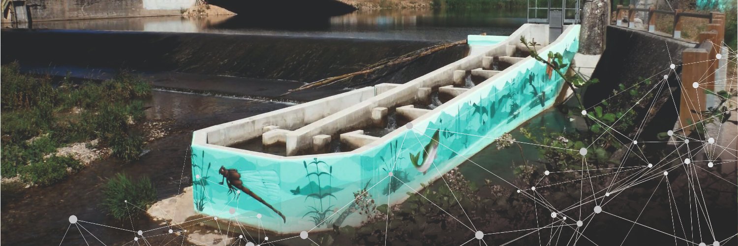 Smart Fishways banner
