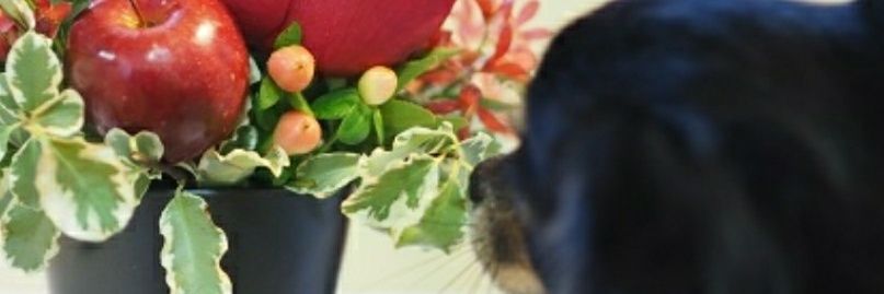 coico515's profile banner image