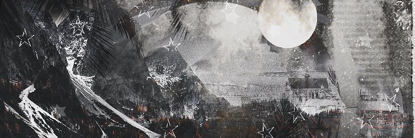 HawkyNFT_'s profile banner image