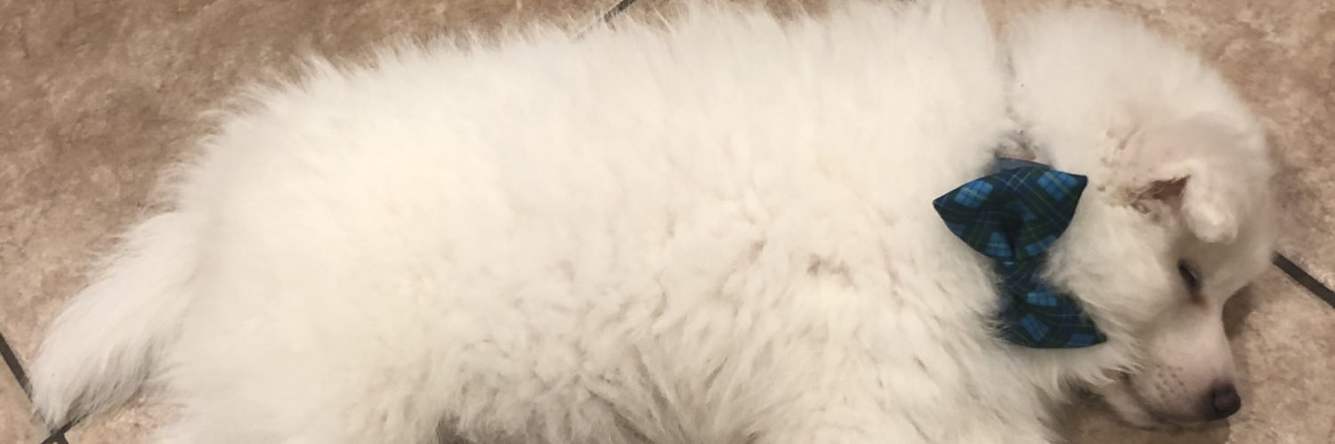 itsscelineee's profile banner image