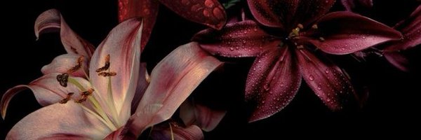 Sha_riqai Profile Banner