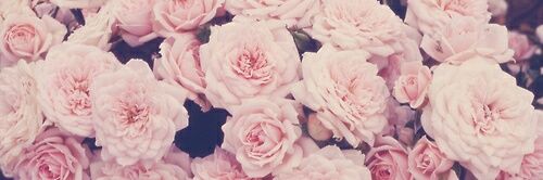 LulaLongoni's profile banner image