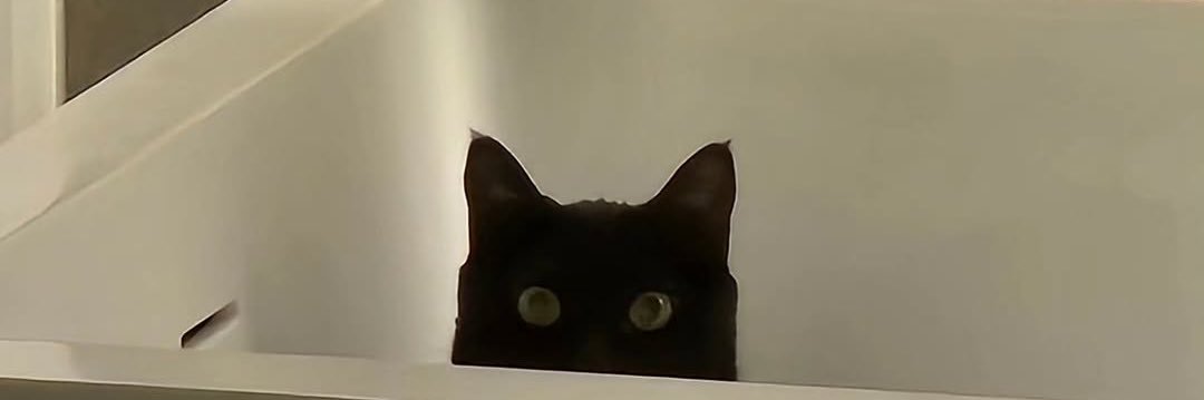 doodooamiami's profile banner image