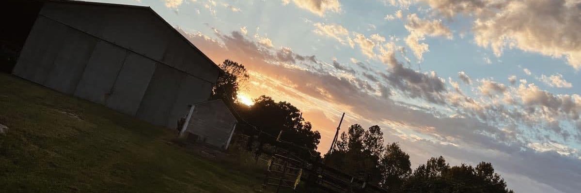 GoodwinMara's profile banner image