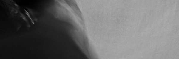 MadaMerica_ Profile Banner