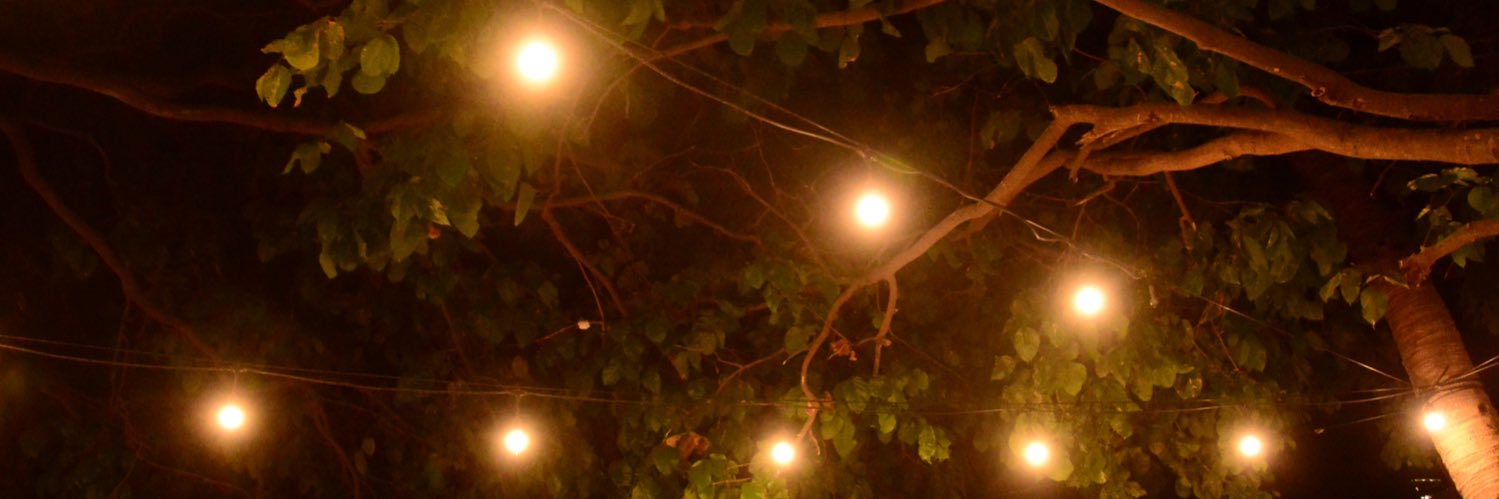 Bjarte Halderson banner