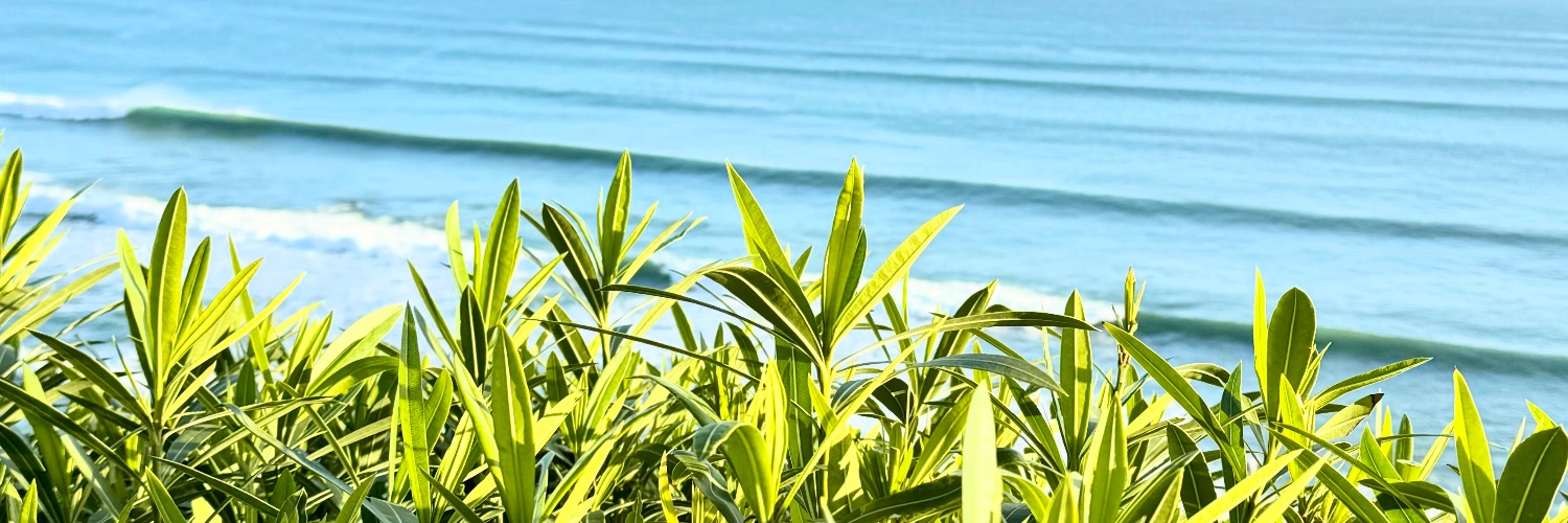 Michael Malina banner