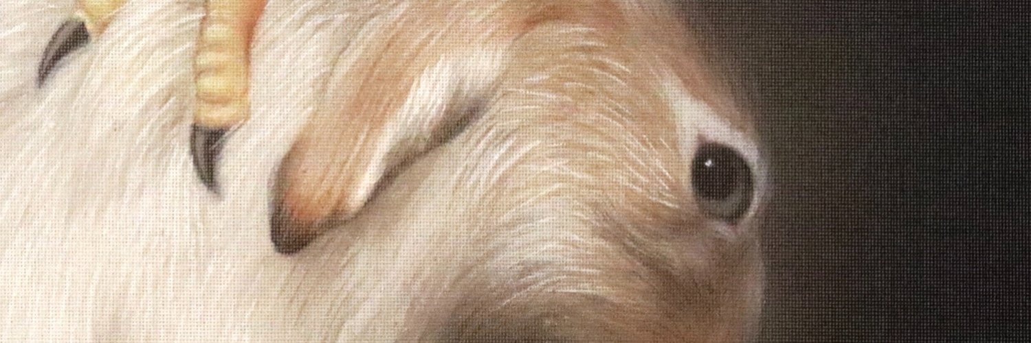 Nat Holtzmann banner