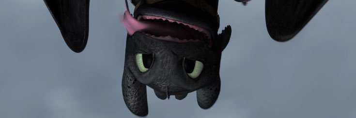 Nabi 🦋's banner