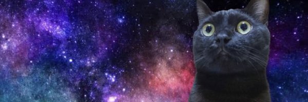 Bob_HobbyGame Profile Banner