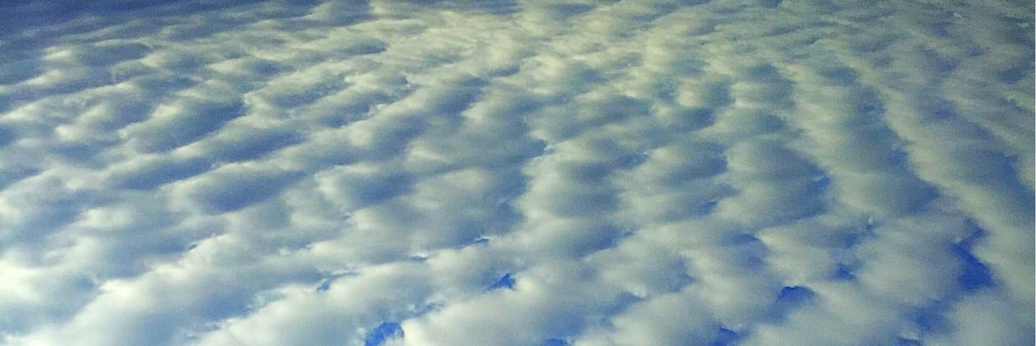 TammySJackson's profile banner image
