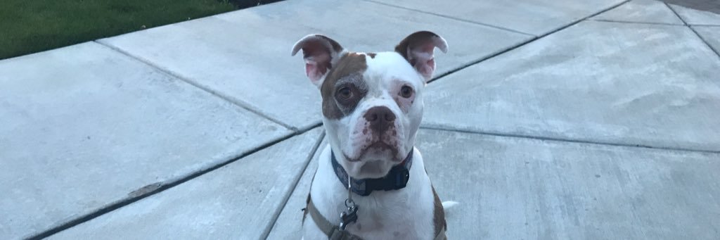 CBeugless's profile banner image