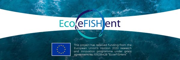 ecoefishent Profile Banner