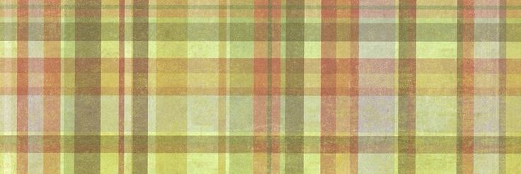 snotsmonkey_'s profile banner image