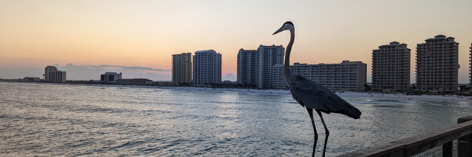 Kevin Heifner banner