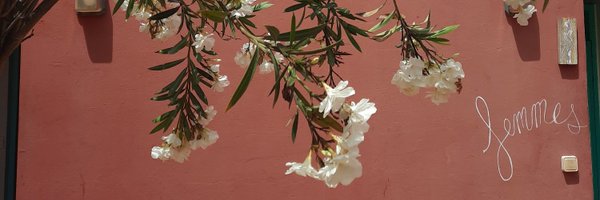 ElineVersluys Profile Banner