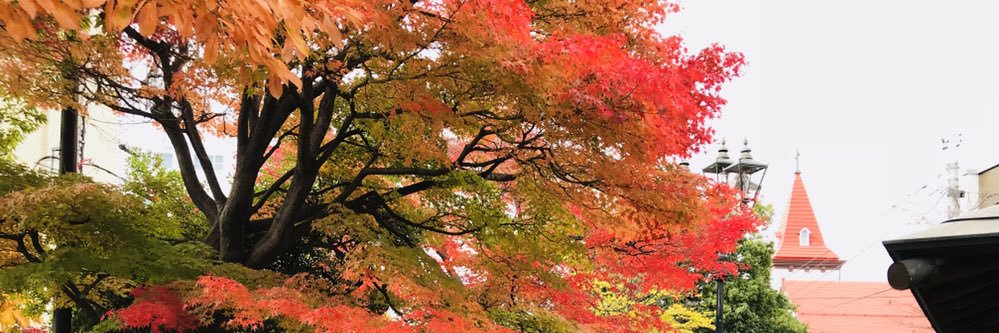 non0666's profile banner image