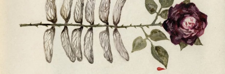 d e m i 🩸 banner