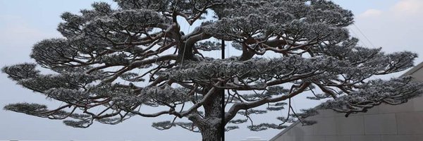 yutangc Profile Banner