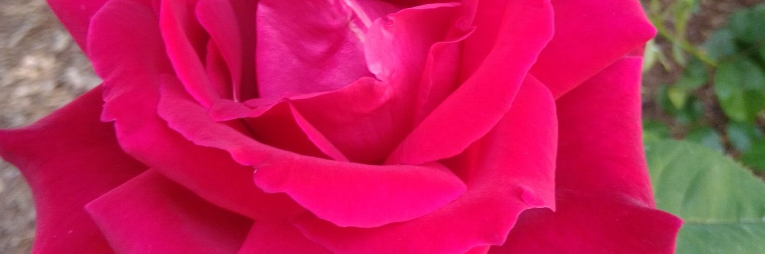 Craquelg24's profile banner image