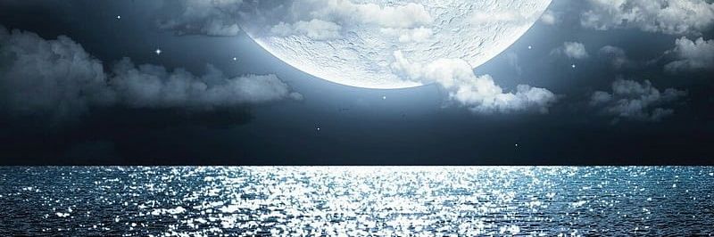 Elizabeth 🇧🇷 banner