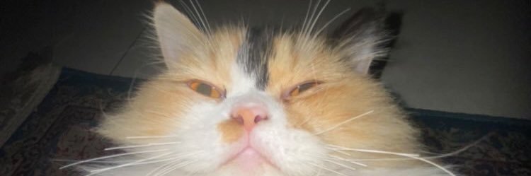 anvithegoat's profile banner image