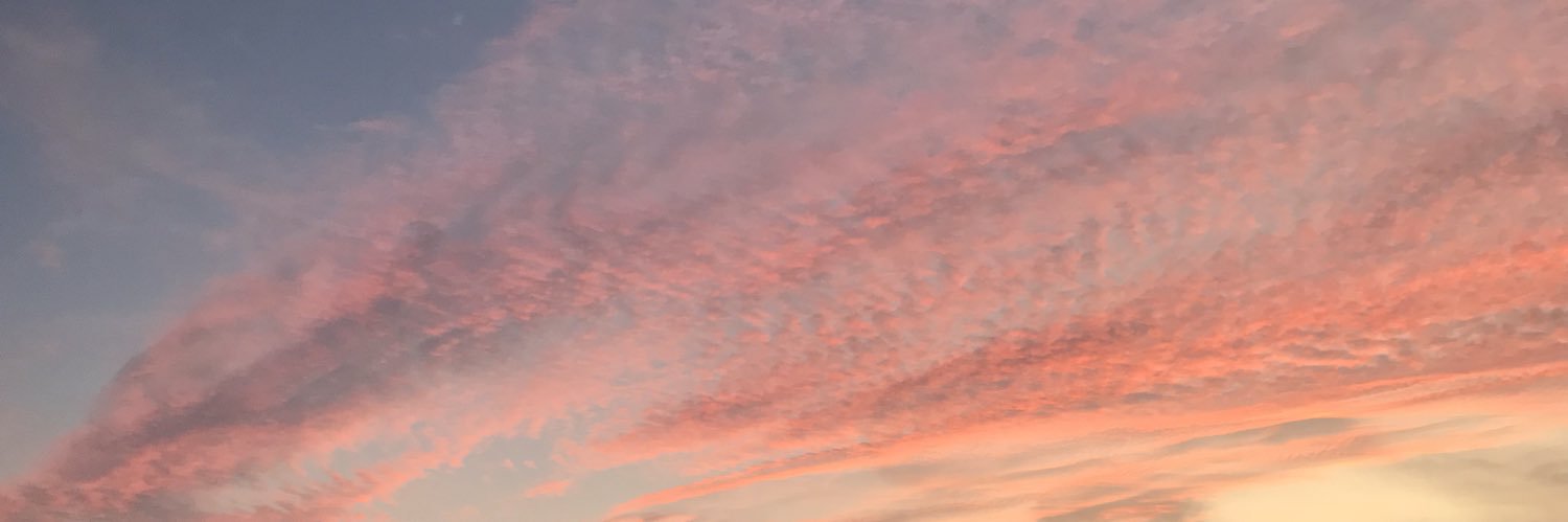 megan__bartels's profile banner image