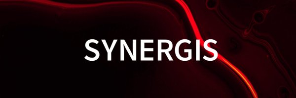 Synergis Profile Banner