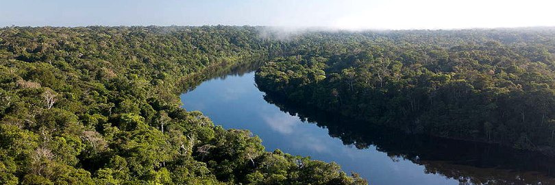 Ewertrs 🦜✨️ banner