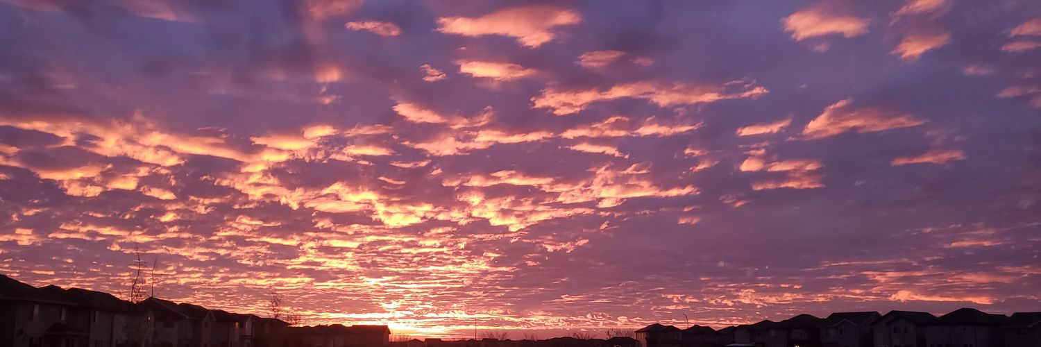 $cows 🥩Vault 183 $kalyna 🐍🎲 banner