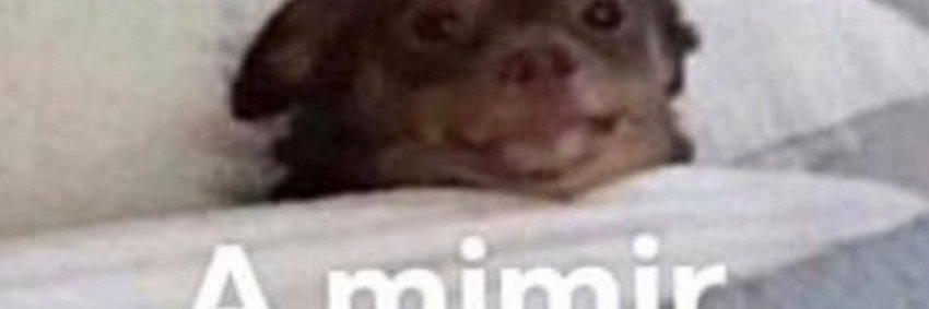 mimir.eth☢️ banner