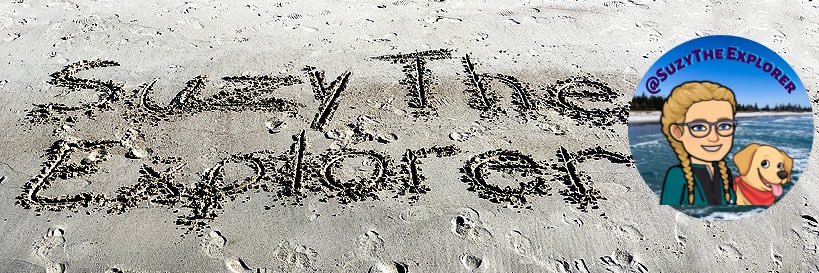 Suzy The Explorer banner