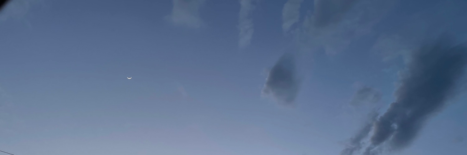 earthtoabby's profile banner image