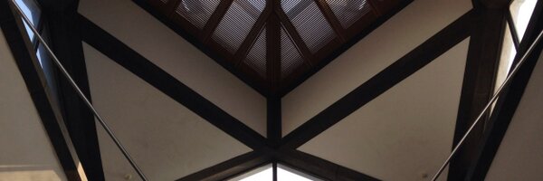 shalinpei Profile Banner