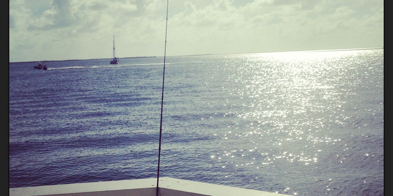 dfonseca3's profile banner image