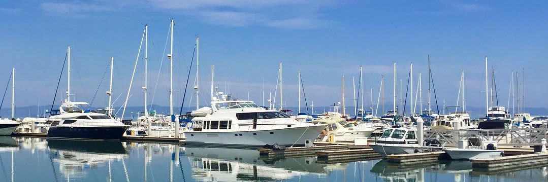 Gene Hoffman hoffmang.xch 🌱 banner