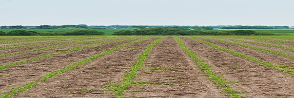 Rural Strong Media banner