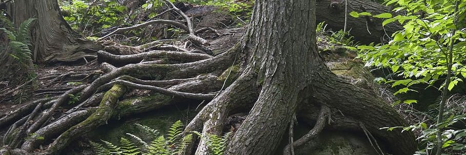 TealVBrown's profile banner image