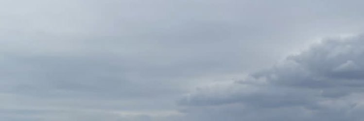 りょ banner