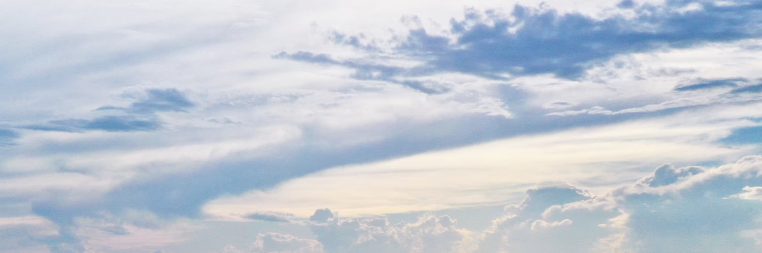 gracehibler's profile banner image
