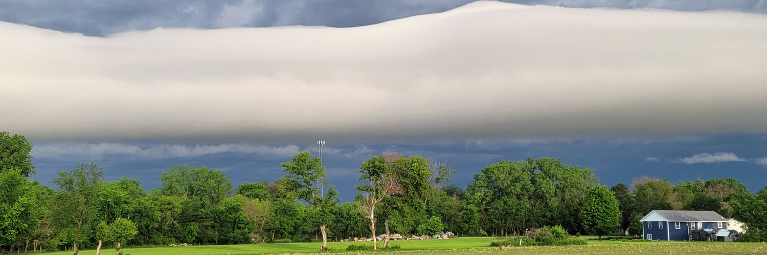 sheila griffith banner